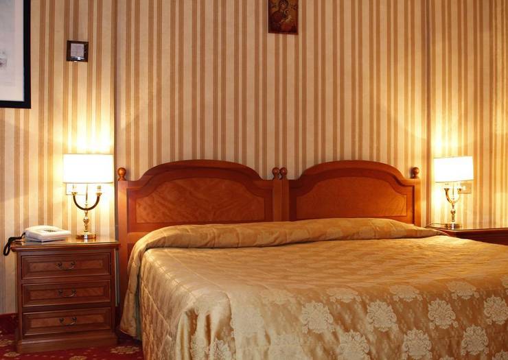 Chambre double standard à usage individiel Hôtel Eliseo Rome